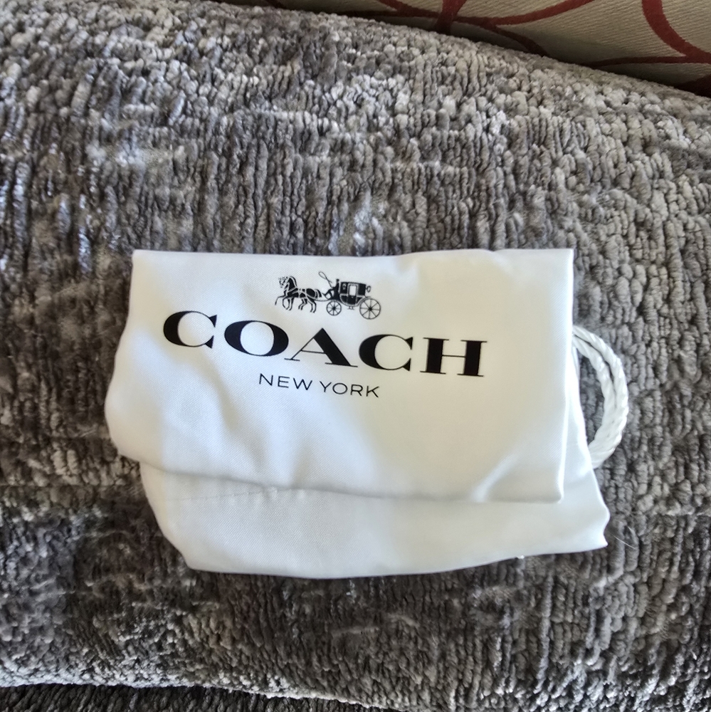 NWT COACH Swinger Zebra Animal Print Mini Bag 20 - Picture 8 of 13